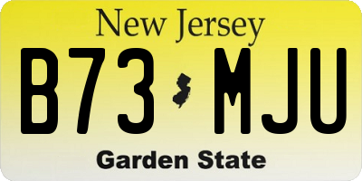 NJ license plate B73MJU
