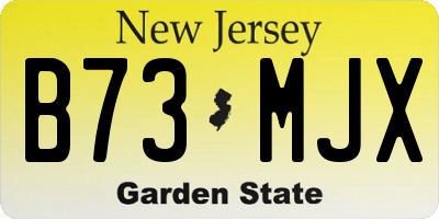 NJ license plate B73MJX