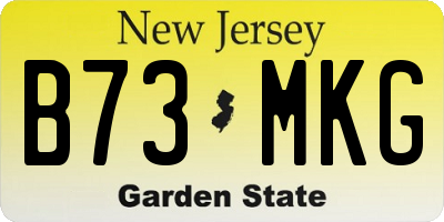 NJ license plate B73MKG