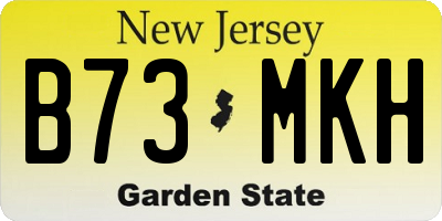 NJ license plate B73MKH