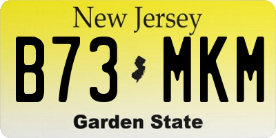 NJ license plate B73MKM