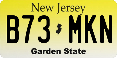 NJ license plate B73MKN
