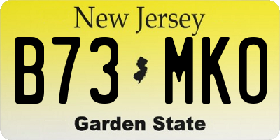NJ license plate B73MKO