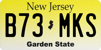 NJ license plate B73MKS