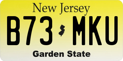 NJ license plate B73MKU
