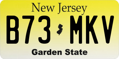 NJ license plate B73MKV