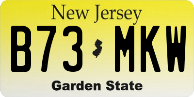 NJ license plate B73MKW