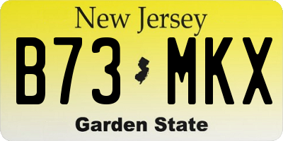 NJ license plate B73MKX