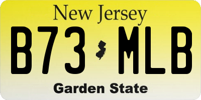 NJ license plate B73MLB