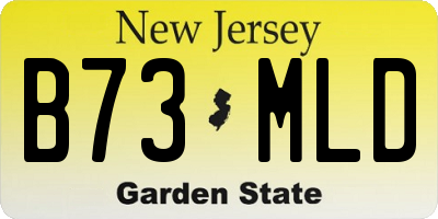 NJ license plate B73MLD