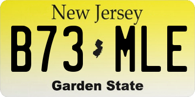 NJ license plate B73MLE