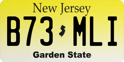 NJ license plate B73MLI