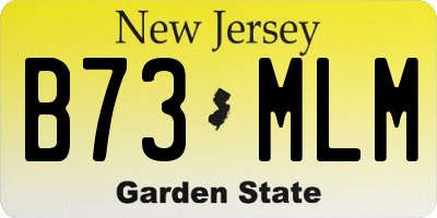 NJ license plate B73MLM