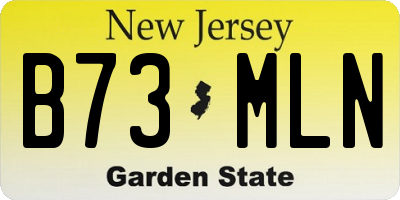 NJ license plate B73MLN