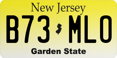 NJ license plate B73MLO