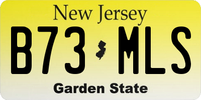 NJ license plate B73MLS
