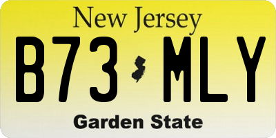 NJ license plate B73MLY