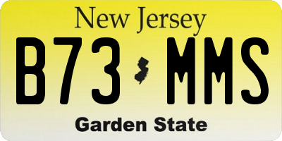 NJ license plate B73MMS