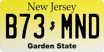 NJ license plate B73MND