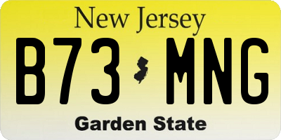 NJ license plate B73MNG