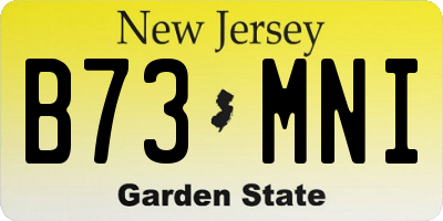 NJ license plate B73MNI