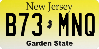NJ license plate B73MNQ