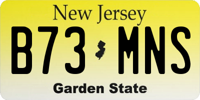 NJ license plate B73MNS