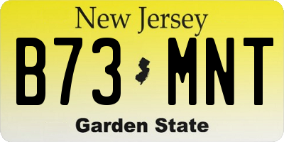 NJ license plate B73MNT
