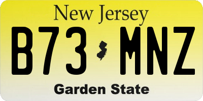 NJ license plate B73MNZ