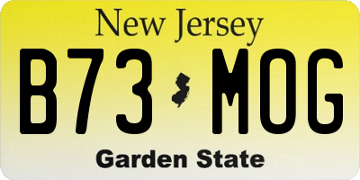 NJ license plate B73MOG