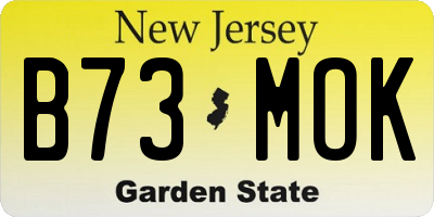 NJ license plate B73MOK