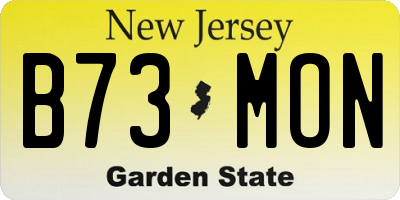 NJ license plate B73MON