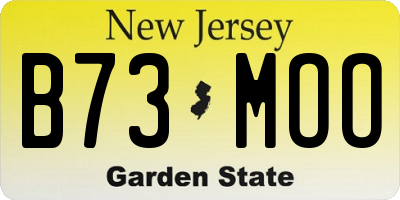 NJ license plate B73MOO