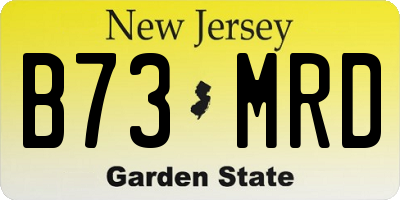 NJ license plate B73MRD