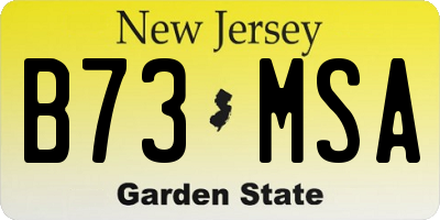 NJ license plate B73MSA