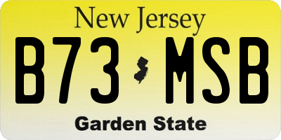 NJ license plate B73MSB