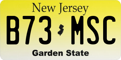 NJ license plate B73MSC