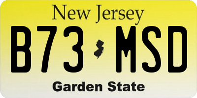 NJ license plate B73MSD