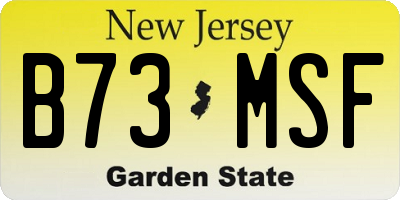 NJ license plate B73MSF