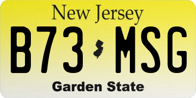 NJ license plate B73MSG