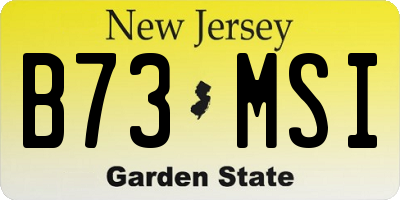 NJ license plate B73MSI