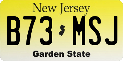 NJ license plate B73MSJ