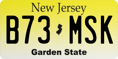 NJ license plate B73MSK
