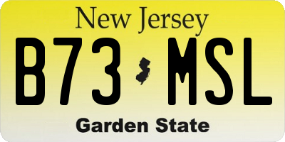 NJ license plate B73MSL