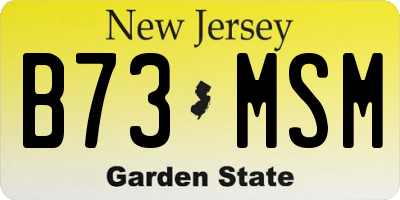 NJ license plate B73MSM