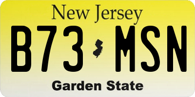 NJ license plate B73MSN