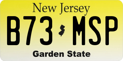 NJ license plate B73MSP