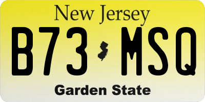 NJ license plate B73MSQ