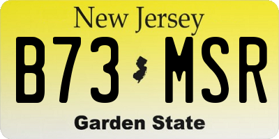 NJ license plate B73MSR