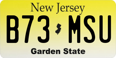 NJ license plate B73MSU